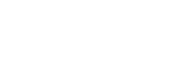 Public Mobile